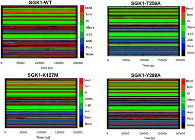 Impact of Deleterious Mutations on Structure, Function and Stability of Serum/Glucocorticoid Regulated Kinase 1: A Gene to Diseases Correlation